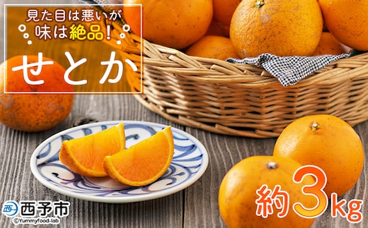 ＜見た目は悪いが味は絶品 無茶々園のせとか 約3kg＞果物 みかん ミカン 蜜柑 柑橘 フルーツ 期間限定 季節限定 特産品 無茶々園 愛媛県 西予市【常温】