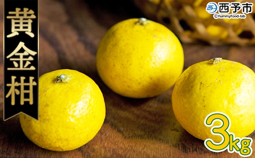 ＜無茶々園の黄金柑 約3kg（30～60玉）＞ フルーツ 果物 おうごんかん みかん ミカン 柑橘 期間限定 季節限定 無茶々園 特産品 愛媛県 西予市【常温】