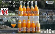 ジュエリーボックス（ジュース編）厳選10本 数量限定