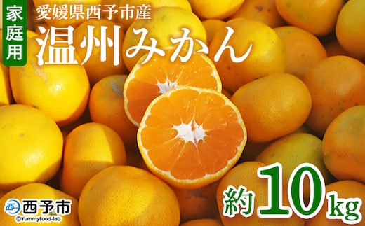 ＜愛媛県西予市産 温州みかん 家庭用 約10kg＞ 果物 くだもの ミカン 蜜柑 柑橘 フルーツ 訳あり ワケアリ 食べて応援 特産品 段畑みかん 愛媛県 西予市【常温】『2025年10月中旬～11月中旬迄に順次出荷予定』