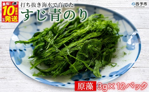 ＜打ち抜き海水で育てた「すじ青のり」（原藻3g×12パック）＞ 甲殻類アレルギーフリー 色づけ 香りづけ お好み焼き たこ焼き 焼きそば おはぎ ピザ お吸い物 茶碗蒸し 佐藤真珠 愛媛県 西予市【常温】