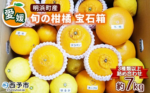 産地直送!！ 愛媛県明浜町産 旬の柑橘 宝石箱（宇都宮農園）