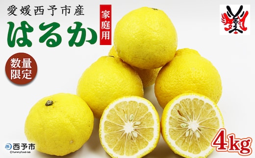 ＜愛媛西予市産 はるか 家庭用 約4kg＞ 柑橘 果物 フルーツ ミカン みかん オレンジ 特産品 渡江から一歩を踏み出す会 食べて応援 特産品 愛媛県 西予市 【常温】『2026年1月下旬～3月上旬迄に順次出荷予定』