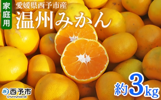 ＜愛媛県西予市産 温州みかん 家庭用 約3kg ＞ 果物 くだもの ミカン 柑橘 フルーツ 訳あり ワケアリ 旬 特産品 段畑みかん 愛媛県 西予市【常温】『2026年10月中旬～11月中旬迄に順次出荷予定』