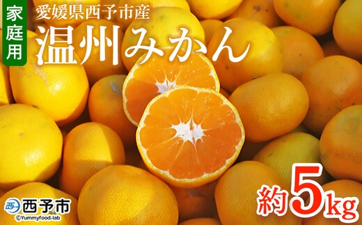 ＜愛媛県西予市産 温州みかん 家庭用 約5kg ＞ 果物 くだもの ミカン 柑橘 フルーツ 訳あり ワケアリ 旬 特産品 段畑みかん 愛媛県 西予市【常温】『2026年10月中旬～11月中旬迄に順次出荷予定』