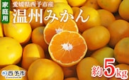 ＜愛媛県西予市産 温州みかん 家庭用 約5kg ＞ 果物 くだもの ミカン 柑橘 フルーツ 訳あり ワケアリ 旬 特産品 段畑みかん 愛媛県 西予市【常温】『2026年10月中旬～11月中旬迄に順次出荷予定』
