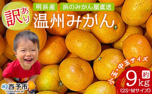 ＜訳あり 温州みかん 約9kg＞ 小玉 中玉 明浜産 果物 フルーツ 蜜柑 うんしゅうみかん ウンシュウミカン 柑橘 家庭用 浜のみかん屋 直送 愛媛県 西予市【常温】『2025年11月上旬～12月中旬迄に順次出荷』