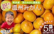 ＜訳あり 温州みかん 約5kg＞ 小玉 中玉 明浜産 果物 フルーツ 蜜柑 うんしゅうみかん ウンシュウミカン 柑橘 家庭用 浜のみかん屋 直送 愛媛県 西予市【常温】『2025年11月上旬～12月中旬迄に順次出荷』