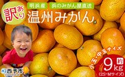 ＜訳あり 温州みかん 約9kg＞ 小玉 中玉 明浜産 果物 フルーツ 蜜柑 うんしゅうみかん ウンシュウミカン 柑橘 家庭用 浜のみかん屋 直送 愛媛県 西予市【常温】『2025年11月上旬～12月中旬迄に順次出荷』