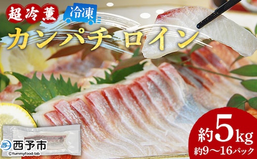 ＜「超冷薫」冷凍カンパチ ロイン 約5kg（9～16パック入り）＞ かんぱち 魚介類 さかな 新鮮 水産物 お刺身 さしみ 煮物 焼き魚 血抜き 骨なし 個包装 パーティー キャンプ お祝い 内祝い 御礼 ダイニチ 愛媛県 西予市【冷凍】