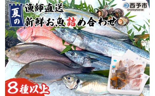 ＜漁師直送 夏の新鮮お魚詰め合わせ 8種以上＞ 魚 詰め合わせ 海鮮 海産物 海鮮セット イサキ 処理済み 麹漬け 明浜産 二ノ宮商事株式会社 愛媛県 西予市【冷凍】『2026年4月～9月末迄に順次出荷予定』