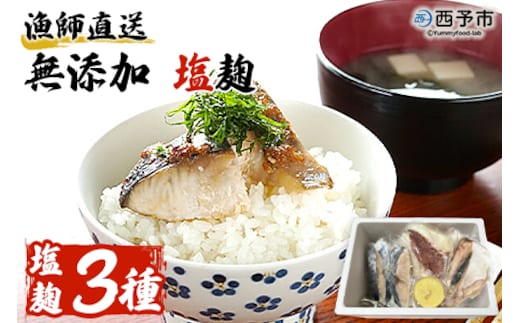 漁師直送 無添加 塩麹 三種セット（愛媛県西予市明浜産）