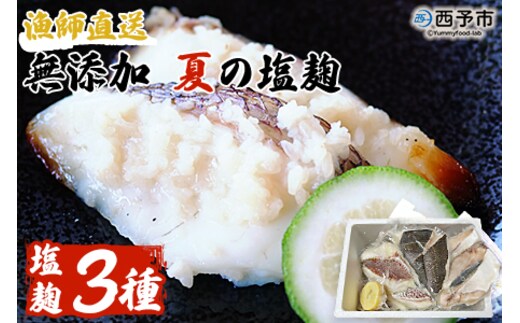 ＜漁師直送 無添加 夏の塩麹 160g×3種セット＞ 魚 詰め合わせ 海鮮 海産物 海鮮セット ハマチ 鯛 イサキ 焼くだけ 簡単調理 処理済み 明浜産 二ノ宮商事株式会社 愛媛県 西予市【冷凍】『2026年4月～9月末迄に順次出荷予定』
