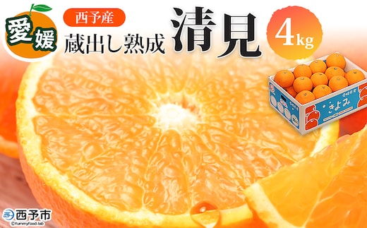 ＜愛媛県西予市産 蔵出し熟成清見 約4kg＞ 果物 フルーツ みかん オレンジ きよみ 柑橘 特産品 ご自宅用 家庭用 食べて応援 愛媛県 西予市【常温】『2026年5月上旬～6月中旬迄に順次出荷予定』