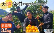 ＜天晴晩柑（河内晩柑）約3.5kg 愛媛県明浜産 ＞ 家庭用 果物 柑橘 みかん 和製 グレープフルーツ 食べて応援 特産品 愛媛県 西予市【常温】『2026年4月上旬～5月下旬迄に順次出荷予定』