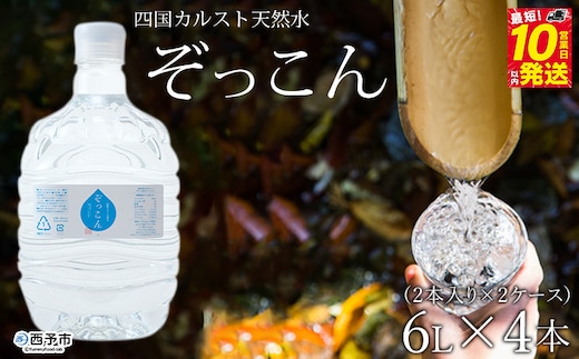 四国カルスト天然水ぞっこん（6L×2本）×2ケース 計4本