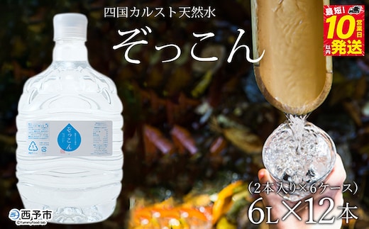 四国カルスト天然水ぞっこん（6L×2本）×6ケース 計12本