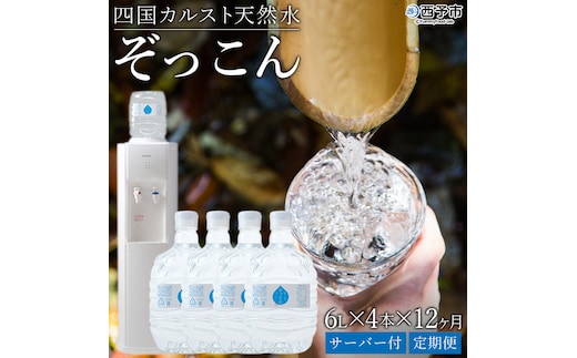 四国カルスト天然水ぞっこん 定期便（毎月6L×4本 1年間）レンタルウォーターサーバー付