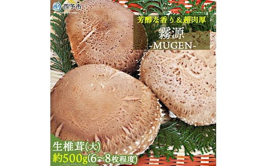 芳醇な香り＆超肉厚 愛媛県産原木椎茸「霧源（MUGEN）」