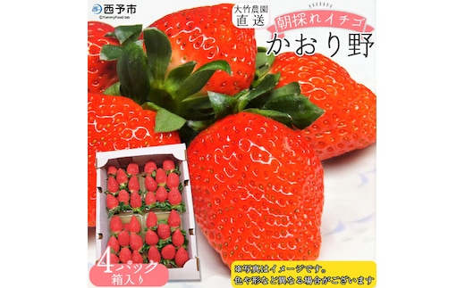 ＜イチゴ「かおり野」約280g×4パック 大竹農園直送＞ かおりの いちご 苺 果物 くだもの フルーツ ストロベリー 旬 季節限定 特産品 産地直送 愛媛県 西予市【冷蔵】『2025年12月～2026年3月末迄に順次出荷予定』