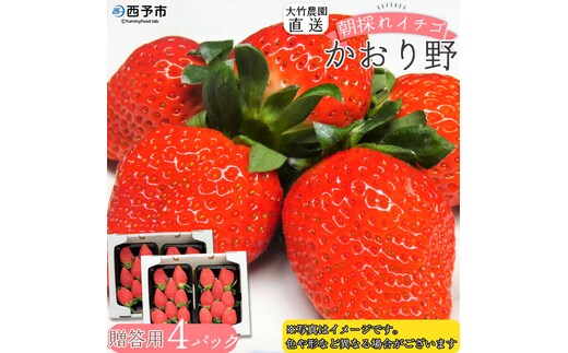 ＜イチゴ「かおり野」贈答用 4パック 大竹農園直送＞ いちご 苺 ギフト 果物 フルーツ お取り寄せ 朝摘み 朝採れ プレゼント 贈り物 お礼 お祝い 特産品 愛媛県 西予市【冷蔵】『2025年12月～2026年3月末迄に順次出荷予定』