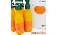 ＜みかんジュース 300ml×12本＞ 果汁100％ ストレート じゅーす おいしい 果物 フルーツ ミカン オレンジ おれんじはーと 飲んで応援 特産品 西宇和 愛媛県 西予市【常温】『2025年12月上旬より順次発送』