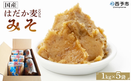 ＜国産 はだか麦 100％ みそ 5kg（1kg×5袋）＞ 味噌 天然醸造 伝統製法 こうじ蓋 麹蓋製法 麦麹 自然発酵 手作業 長期熟成 国産麦 麦味噌 麦みそ 発酵食品 だるまや 愛媛県 西予市【常温】『1か月以内に順次出荷』