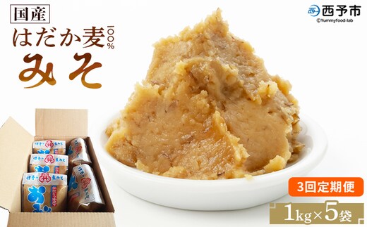 ＜国産 はだか麦 100％ みそ 5kg（1kg×5袋）3回定期便＞ 定期便 味噌 天然醸造 伝統製法 こうじ蓋 麹蓋製法 麦麹 自然発酵 手作業 長期熟成 国産麦 麦味噌 麦みそ 発酵食品 だるまや 愛媛県 西予市【常温】『お申込み月の翌月より配送を開始します』