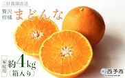 紅まどんなと同品種！＜贅沢柑橘「まどんな」家庭用 箱込約4kg＞ 果物 フルーツ マドンナ みかん ミカン 蜜柑 オレンジ 愛媛果試第28号 柑橘 訳あり 産地直送 三好農園 西宇和 愛媛県 西予市【常温】『2025年11月中旬～2026年1月上旬迄に順次出荷予定』
