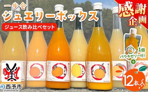 【感謝企画】＜一歩会 ジュエリーボックス ジュース飲み比べセット 720ml×12本入り＞『1か月以内に順次出荷予定』果汁100%ストレートジュース 愛媛 みかん ミカン 柑橘 果物 フルーツ 特産品 渡江から一歩を踏み出す会 飲んで応援 愛媛県 西予市【常温】