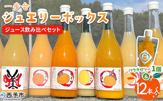 ＜一歩会 ジュエリーボックス ジュース飲み比べセット 720ml×12本 パウチゼリー1個＞『1か月以内に順次出荷予定』果汁100%ストレートジュース 愛媛 みかん ミカン 柑橘 果物 フルーツ 特産品 渡江から一歩を踏み出す会 飲んで応援 愛媛県 西予市【常温】