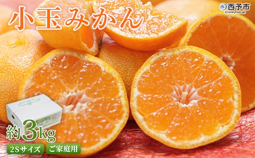 ＜愛媛県西予市産 小玉みかん ご家庭用 約3kg＞ 2Sサイズ 訳あり わけあり 果物 フルーツ 温州ミカン 蜜柑 甘い あまい おいしい 美味しい オレンジ 柑橘 特産品 愛媛県 西予市【常温】