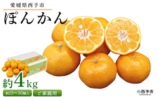 ＜愛媛県西予市産 ぽんかん ご家庭用 約4kg＞約15～30個入り 訳あり 果物 くだもの フルーツ みかん ミカン オレンジ ポンカン 柑橘 特産品 愛媛県 西予市【常温】『2026年1月上旬～2月下旬迄に順次出荷予定』