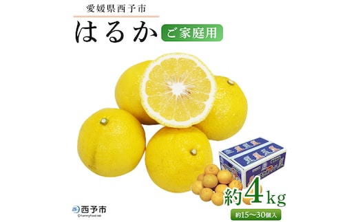 ＜愛媛県西予市産 はるか ご家庭用 約4kg＞約15～30個入 訳あり ご自宅用 果物 フルーツ ハルカ みかん ミカン オレンジ 柑橘類 旬 期間限定 食べて応援 特産品 愛媛県 西予市【常温】『2026年2月中旬～4月下旬迄に順次出荷予定』