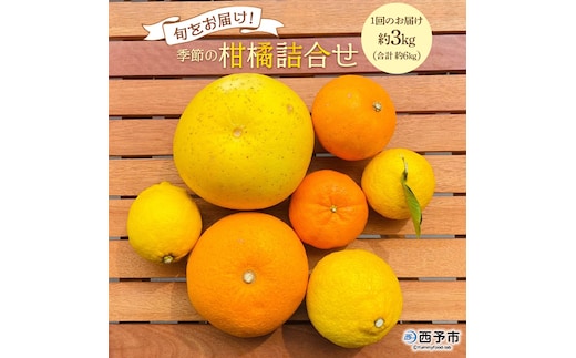 ＜旬をお届け！季節の柑橘詰合せ 2回定期便（1回約3kg×2回 合計約6kg）＞みかん ミカン 詰め合わせ つめあわせ 蜜柑 果物 フルーツ お楽しみ 食べ比べ 特産品 愛媛県 西予市【常温】