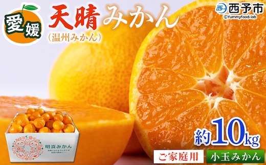 ＜愛媛県明浜産 天晴みかん（温州みかん）約10kg 小玉サイズ＞ 家庭用 訳あり ワケアリ 果物 くだもの フルーツ ミカン 柑橘 特産品 笑丸 愛媛県 西予市【常温】『2026年11月中旬～2027年1月上旬迄に順次出荷予定』