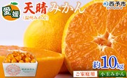 ＜愛媛県明浜産 天晴みかん（温州みかん）約10kg 小玉サイズ＞ 家庭用 訳あり ワケアリ 果物 くだもの フルーツ ミカン 柑橘 特産品 笑丸 愛媛県 西予市【常温】『2026年11月中旬～2027年1月上旬迄に順次出荷予定』