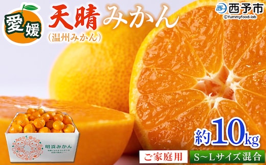 ＜愛媛県明浜産 天晴みかん（温州みかん）約10kg S～L混合＞ 家庭用 訳あり ワケアリ 果物 くだもの フルーツ ミカン 柑橘 特産品 笑丸 愛媛県 西予市【常温】『2026年11月中旬～2027年1月上旬迄に順次出荷予定』