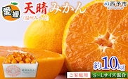 ＜愛媛県明浜産 天晴みかん（温州みかん）約10kg S～L混合＞ 家庭用 訳あり ワケアリ 果物 くだもの フルーツ ミカン 柑橘 特産品 笑丸 愛媛県 西予市【常温】『2026年11月中旬～2027年1月上旬迄に順次出荷予定』
