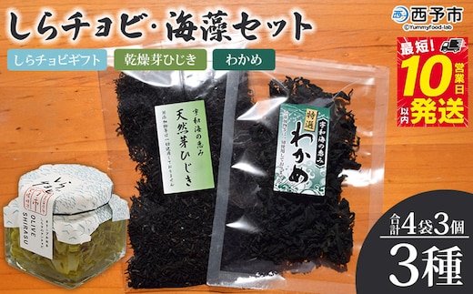 今市水産 しらチョビ海藻セット