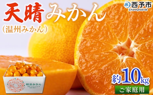 ＜愛媛県明浜産愛媛県明浜産 天晴みかん（温州みかん）約10kg＞ 訳あり ミカン 柑橘 果物 フルーツ オレンジ 期間限定 季節限定 食べて応援 特産品 愛媛県 西予市【常温】