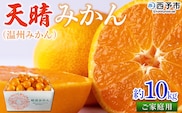 ＜愛媛県明浜産愛媛県明浜産 天晴みかん（温州みかん）約10kg＞ 訳あり ミカン 柑橘 果物 フルーツ オレンジ 期間限定 季節限定 食べて応援 特産品 愛媛県 西予市【常温】