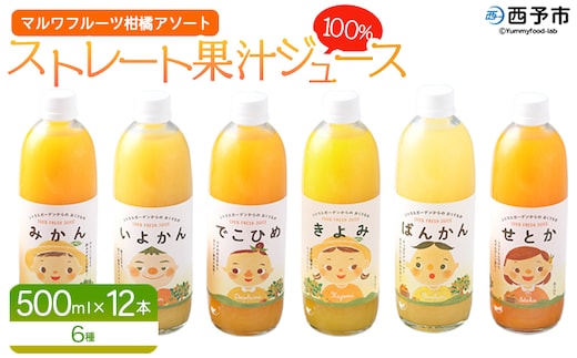 ＜マルワフルーツ柑橘アソート 100％ストレート果汁ジュース 500ml×12本＞ 詰め合わせ セット スイーツ 果物 フルーツ みかん オレンジ 柑橘 清見 でこひめ 河内晩柑 伊予柑 せとか 特産品 愛媛県 西予市【常温】『1か月以内に順次出荷予定』