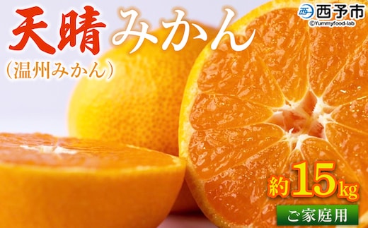 ＜愛媛県明浜産 天晴みかん（温州みかん）約15kg＞ 訳あり 柑橘 果物 フルーツ オレンジ 期間限定 季節限定 食べて応援 特産品 温州みかん 家庭用 のし対応可 愛媛県 西予市【常温】