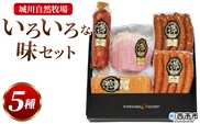 ＜城川自然牧場 いろいろな味セット 5種＞ サラミ ベーコン 粗挽きウインナー ペッパーウインナー 豚肉 牛肉 国産 加工品 詰め合わせ 贈答用 城川ファクトリー 愛媛県 西予市【冷蔵】『1か月以内に順次出荷予定』