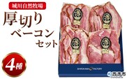 ＜城川自然牧場 厚切りベーコンセット（100g×4種）＞※1か月以内に順次出荷予定 スライス ガーリックベーコン ショルダーベーコン 七味ベーコン 豚肉 加工品 おかず おつまみ ギフト 贈答用 城川ファクトリー 愛媛県 西予市【冷蔵】『1か月以内に順次出荷予定』