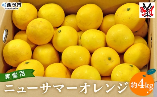 ＜愛媛県西予市産 ニューサマーオレンジ 家庭用 約4kg＞ 訳あり ワケアリ ご自宅用 果物 フルーツ ミカン 柑橘 日向夏 特産品 渡江から一歩を踏み出す会 愛媛県 西予市 【常温】『2026年4月中旬～5月上旬迄に順次出荷予定』