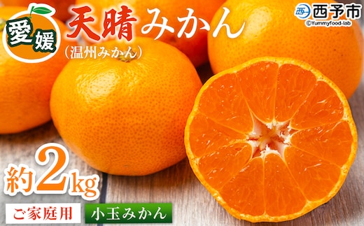 ＜愛媛県明浜産 天晴みかん（温州みかん）約2kg 小玉サイズ＞ 家庭用 訳あり ワケアリ 果物 くだもの フルーツ ミカン 柑橘 特産品 笑丸 愛媛県 西予市【常温】『2026年11月中旬～2027年1月上旬迄に順次出荷予定』