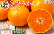 ＜愛媛県明浜産 天晴みかん（温州みかん）約2kg 小玉サイズ＞ 家庭用 訳あり ワケアリ 果物 くだもの フルーツ ミカン 柑橘 特産品 笑丸 愛媛県 西予市【常温】『2026年11月中旬～2027年1月上旬迄に順次出荷予定』
