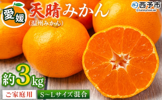＜愛媛県明浜産 天晴みかん（温州みかん）約3kg S～L混合＞ 家庭用 訳あり ワケアリ 果物 くだもの フルーツ ミカン 柑橘 特産品 笑丸 愛媛県 西予市【常温】『2026年11月中旬～2027年1月上旬迄に順次出荷予定』